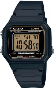 Часы Casio W-217H-9AVEF. Черный